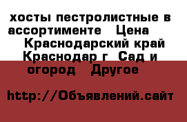 хосты пестролистные в ассортименте › Цена ­ 150 - Краснодарский край, Краснодар г. Сад и огород » Другое   